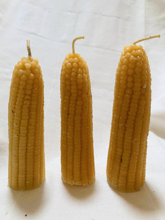 3 Corn Candles made of Bee Wax