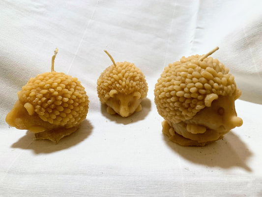 3 Hedge Hog candles made of bees wax