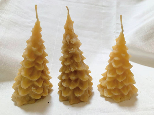 3 Medium Pine Tree Bee Wax Candles